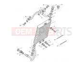 Triumph 2012 BONNEVILLE T100 EFI Oil Cooler