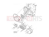 Triumph 2007 SPEEDMASTER CARBS Engine Covers