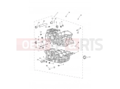 Triumph 2020 TIGER 900 Rally Crankcase & Fittings