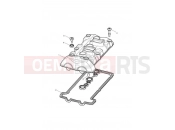 TRIUMPH TIGER 900 Rally Cam Cover