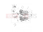 Triumph 2018 TIGER 1200 XCX Crankcase & Fittings