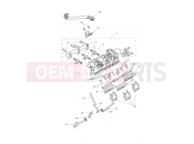 Triumph 2021 TIGER 1200 XRT Throttles, Injectors...