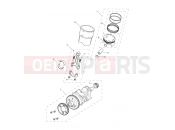Triumph 2021 TIGER 1200 XRX Crankshaft, Connecting Rods...