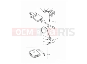 Triumph 1994 TROPHY > 29155 Ignition System