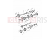 TRIUMPH TROPHY > 29155 Transmission