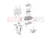 Triumph 2019 SPEED TWIN Cylinder Head & Valves