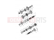 Triumph 2006 SCRAMBLER CARB Transmission