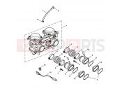 Triumph 2006 SCRAMBLER CARB Carburettors