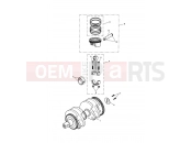 Triumph 2006 SCRAMBLER CARB Crankshaft, Connecting Rods...