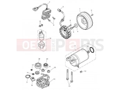 Triumph 2014 SCRAMBLER EFI Starter & Alternator