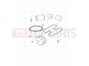 TRIUMPH SCRAMBLER EFI Service Kit Eng No 456552
