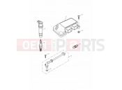 Triumph 2003 TT600 Engine Management System
