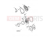 Triumph 2003 TT600 Engine Covers