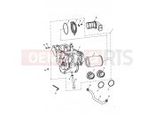 TRIUMPH THRUXTON 900 CARBS Airbox
