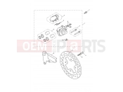 Triumph 2008 THRUXTON 900 EFI Rear Brake Caliper & Disc