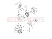Triumph 2010 THRUXTON 900 EFI Starter & Alternator