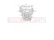 TRIUMPH SPEED TRIPLE 1200 RS Crankcase Bolts