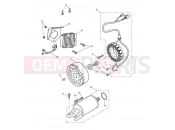 Triumph 2012 STREET TRIPLE > 560476 Alternator & Starter Motor