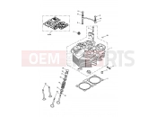 TRIUMPH AMERICA CARBS Cylinder Head & Valves