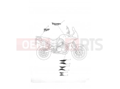 Triumph 2005 TIGER 955i 198875 > Decals