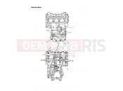 Triumph 2005 TIGER 955i 198875 > Crankcase Bolts