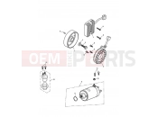 Triumph 2007 Tiger 1050 Starter & Alternator