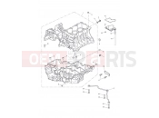 Triumph 2010 Tiger 1050 Crankcase Fixings