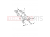 TRIUMPH Tiger 1050 Rear Sub-Frame & Fittings