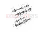 TRIUMPH DAYTONA 595 / 955i Transmission
