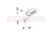 Triumph 2004 DAYTONA 955i 132513 > Engine Management System