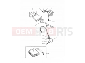 Ignition System - Triumph DAYTONA 750/1000 1992