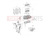 Triumph 2018 STREET CUP Cylinder Head & Valves