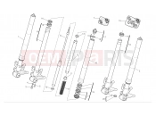 DUCATI 2009 Monster 1100 Front forks