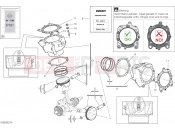 DUCATI 2022 XDiavel Nera CYLINDERS - PISTONS (ASSO WERKE)