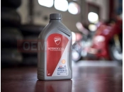 DUCATI Scrambler 1100 Dark Pro SHELL ADVANCE