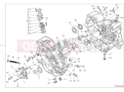 DUCATI 2017 Monster 821 Stripe HALF-CRANKCASES PAIR [MOD:M821 STR]