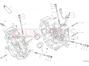 DUCATI 2017 Multistrada 950 HALF-CRANKCASES PAIR [MOD:MS950T]