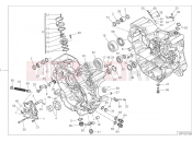 DUCATI 2018 Multistrada 950 HALF-CRANKCASES PAIR [MOD:MS950]