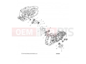 INDIAN 2020 CHIEFTAIN STANDARD THUNDER BLACK (R04) (N20TCBAA) ENGINE | ENGINE, CRANKCASE BEARINGS - N20TCBAA ALL OPTIONS (200626)