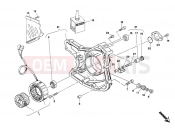 DUCATI 2002 Monster 900 GENERATOR COVER » IGNITION SYSTEM