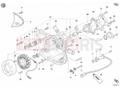 DUCATI 2002 Monster S4 Fogarty GENERATOR COVER - WATER PUMP » COOLING SYSTEM