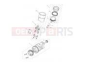 TRIUMPH Tiger 1200 Alpine Crankshaft, Connecting Rods, Pistons & Liners