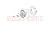 TRIUMPH Tiger 1200 Alpine Front Wheel