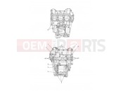 TRIUMPH Tiger 1200 Alpine Crankcase Bolts