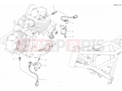 DUCATI Scrambler Icon WIRING HARNESS (COIL)