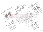 DUCATI Diavel V4 Rear head