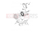 TRIUMPH Tiger 1200 Rally Explorer Starter & Alternator