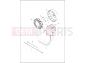 Harley-Davidson 2015 TOURING ULTRA CLASSIC  - FLHTCU ALTERNATOR & REGULATOR