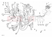 DUCATI Monster S4 WIRING HARNESS » WIRING HARNESS