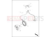 HARLEY-DAVIDSON CVO ROAD KING  - FLHRSE5 ALTERNATOR & REGULATOR